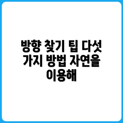 나침반 없이 방향 찾는 법 5가지